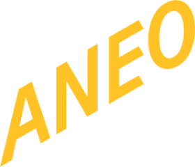 Logo Aneo